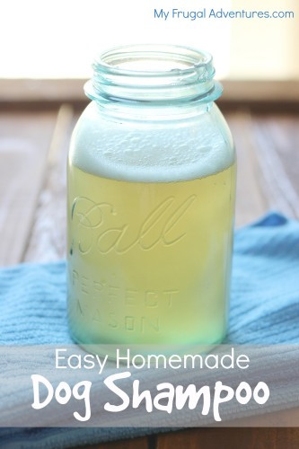 Best ideas about DIY Flea Shampoo
. Save or Pin Homemade Dog Shampoo Recipe My Frugal Adventures Now.