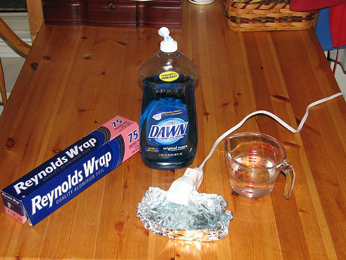 Best ideas about DIY Flea Trap
. Save or Pin How to make your own flea trap Now.