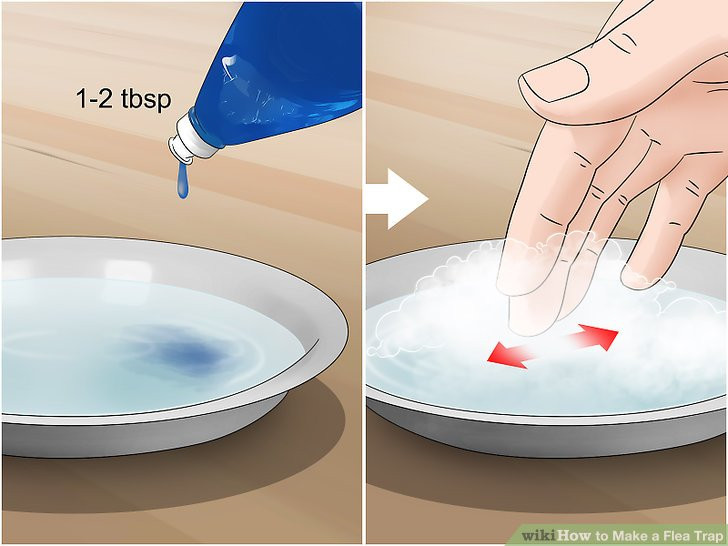 Best ideas about DIY Flea Trap
. Save or Pin The Best Way to Make a Flea Trap wikiHow Now.