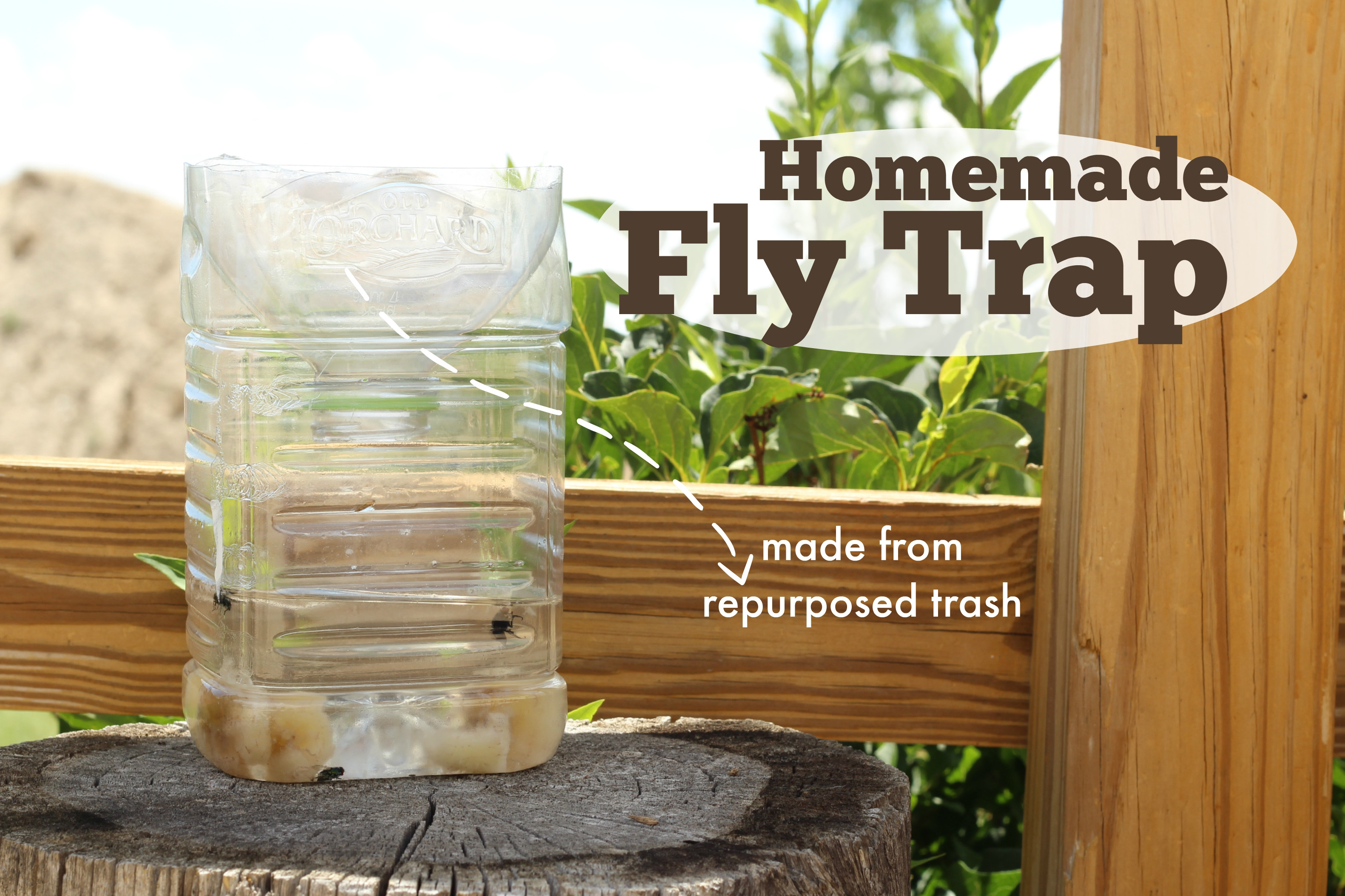 Best ideas about DIY Fly Catcher
. Save or Pin Homemade Fly Trap Now.