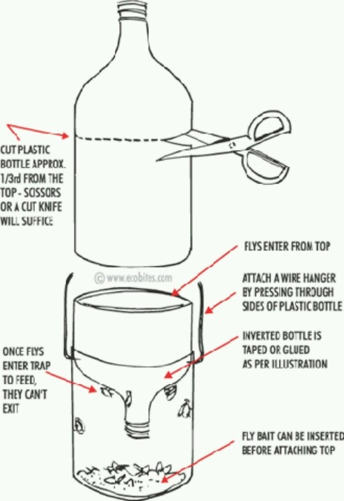 Best ideas about DIY Fly Catcher
. Save or Pin DIY fly trap ics Now.