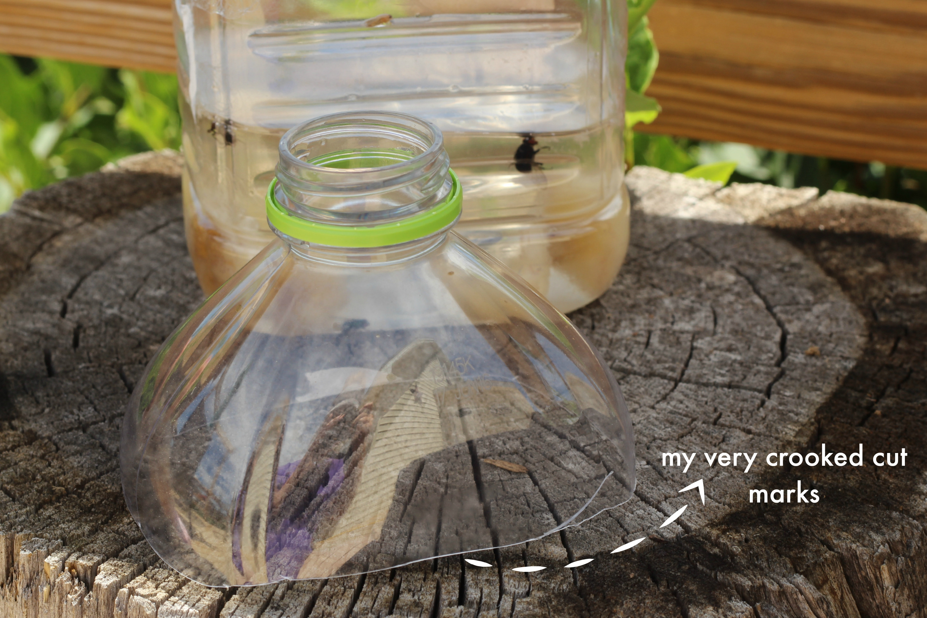 Best ideas about DIY Fly Catcher
. Save or Pin Homemade Fly Trap Now.