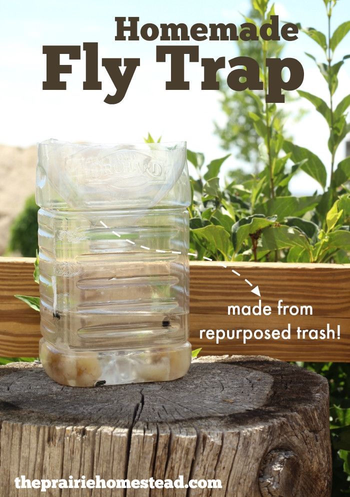 Best ideas about DIY Fly Catcher
. Save or Pin Homemade Fly Trap Now.