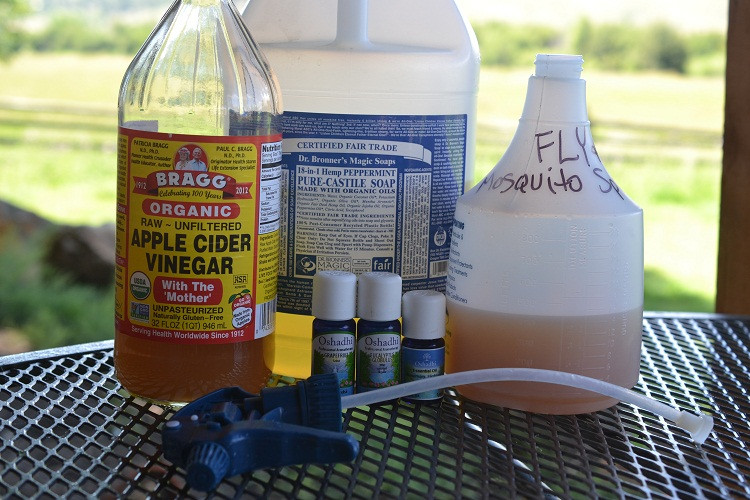 Best ideas about DIY Fly Killer
. Save or Pin Homemade Natural Bug Repellent Recipes Going EverGreen Now.