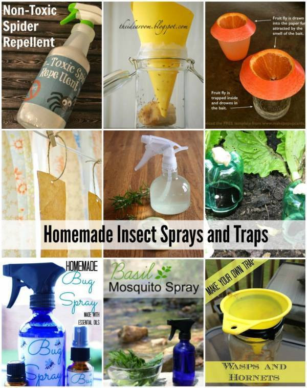 Best ideas about DIY Fly Killer
. Save or Pin Homemade Insect Sprays and Traps That Actually Work – Home Now.