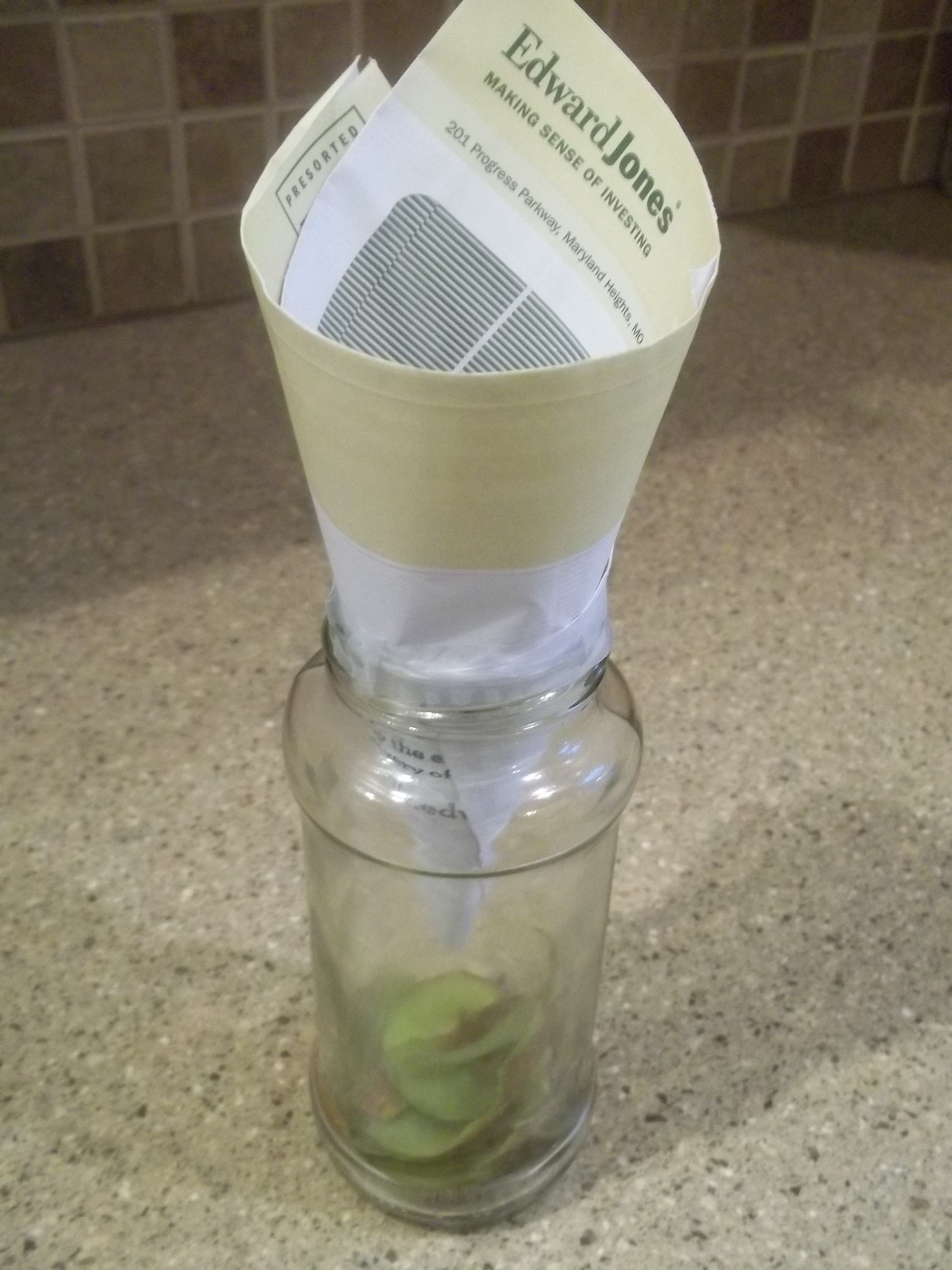 Best ideas about DIY Fly Killer
. Save or Pin Homemade Fruit Fly Trap DiY fly trap Pinterest Now.