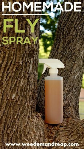 Best ideas about DIY Fly Killer
. Save or Pin 1000 ideas about Homemade Fly Spray on Pinterest Now.