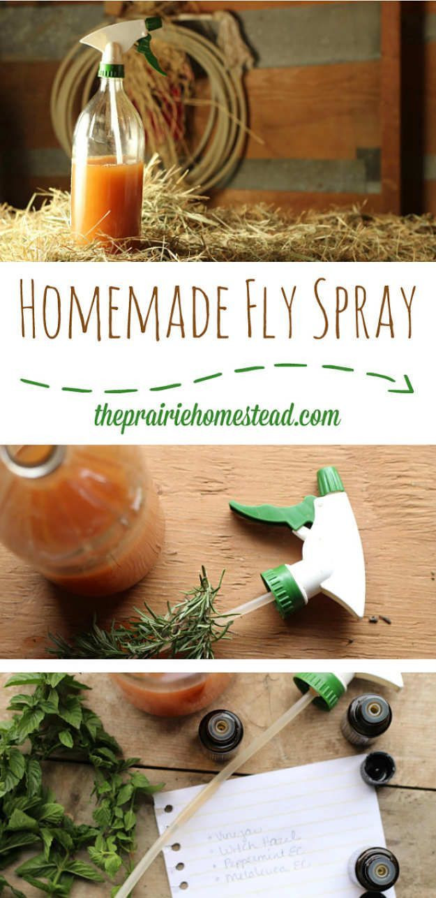 Best ideas about DIY Fly Repellent
. Save or Pin 25 best ideas about Natural fly repellant on Pinterest Now.