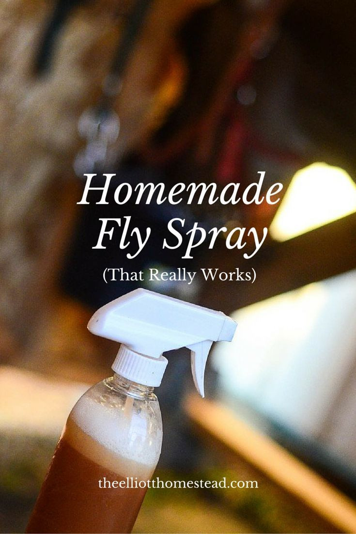 Best ideas about DIY Fly Repellent
. Save or Pin 25 best ideas about Homemade fly repellant on Pinterest Now.