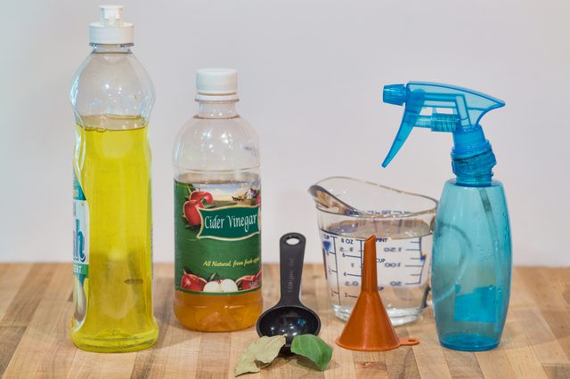 Best ideas about DIY Fly Repellent
. Save or Pin Homemade Fly Repellent for Dogs Now.