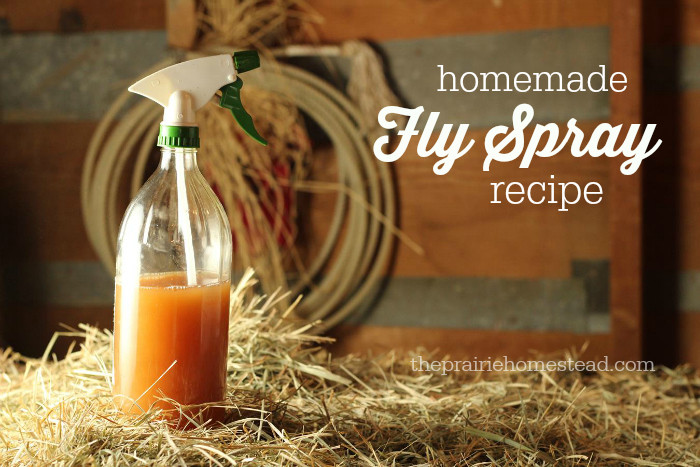 Best ideas about DIY Fly Repellent
. Save or Pin Homemade Fly Spray Recipe Now.