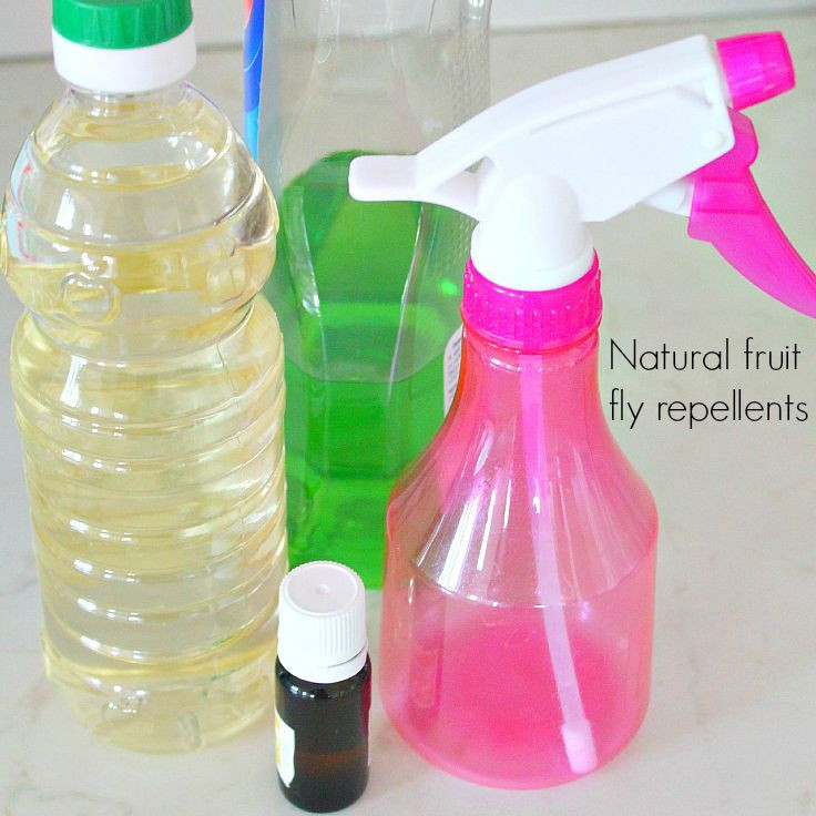 Best ideas about DIY Fly Repellent
. Save or Pin Fruit Fly Repellent Ideas That Are Natural & Safe For You Now.