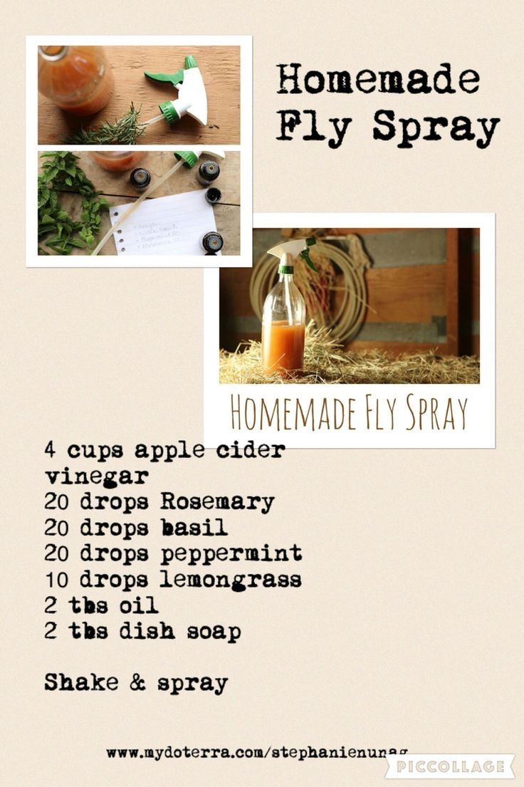 Best ideas about DIY Fly Repellent
. Save or Pin Best 25 Fly spray ideas on Pinterest Now.