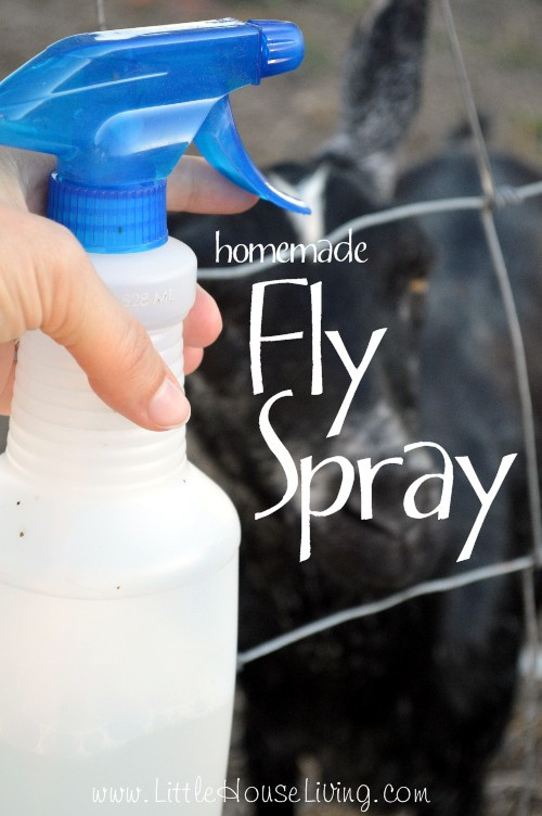 Best ideas about DIY Fly Spray
. Save or Pin Home Made Fly Spray Little House Living Now.