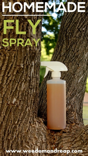 Best ideas about DIY Fly Spray
. Save or Pin Natural Homemade Insect Sprays and Traps Now.