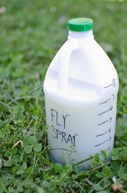 Best ideas about DIY Fly Spray
. Save or Pin 1000 ideas about Homemade Fly Repellant on Pinterest Now.