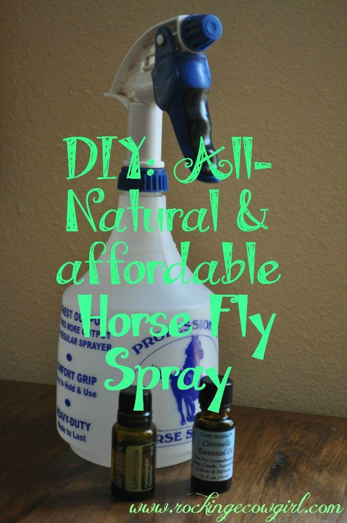 Best ideas about DIY Fly Spray
. Save or Pin DIY Horse Fly Spray Now.