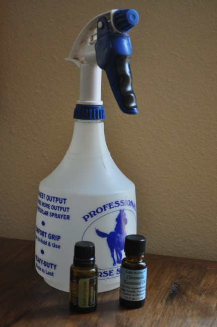 Best ideas about DIY Fly Spray
. Save or Pin Homemade Fly Spray Now.