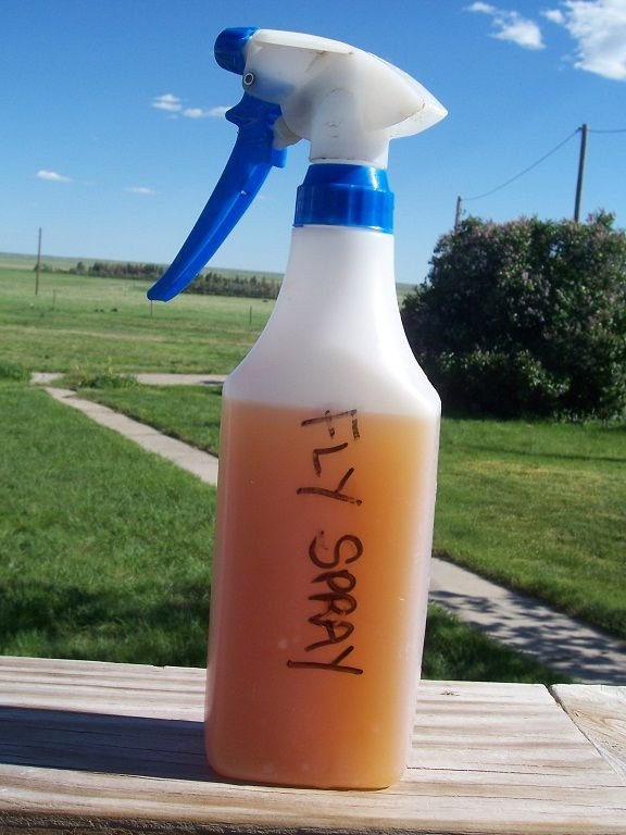 Best ideas about DIY Fly Spray
. Save or Pin Homemade Fly Spray Recipe Now.