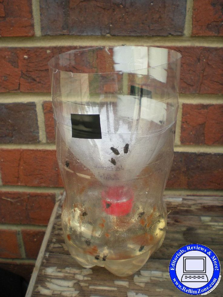 Best ideas about DIY Fly Trap
. Save or Pin 21 best DiY fly trap images on Pinterest Now.