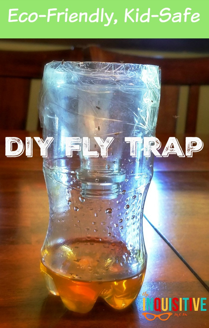 Best ideas about DIY Fly Traps
. Save or Pin Eco Friendly DIY Fly Trap The Inquisitive Mom Now.