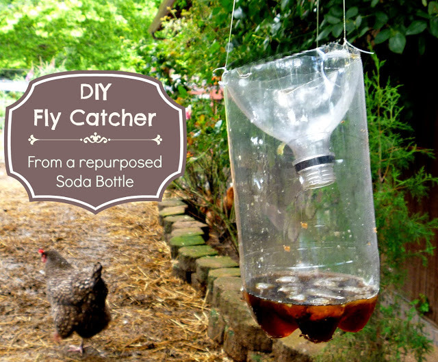 Best ideas about DIY Fly Traps
. Save or Pin Got Flies Make This Easy DIY Fly Catcher out of a Soda Now.