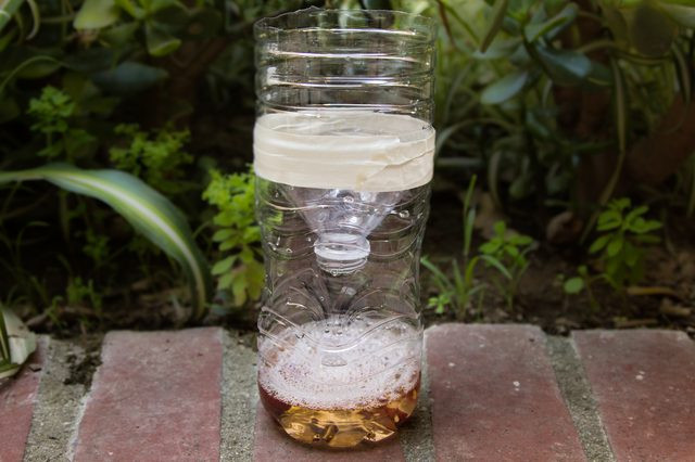 Best ideas about DIY Fly Traps
. Save or Pin Homemade Fly Traps with Now.