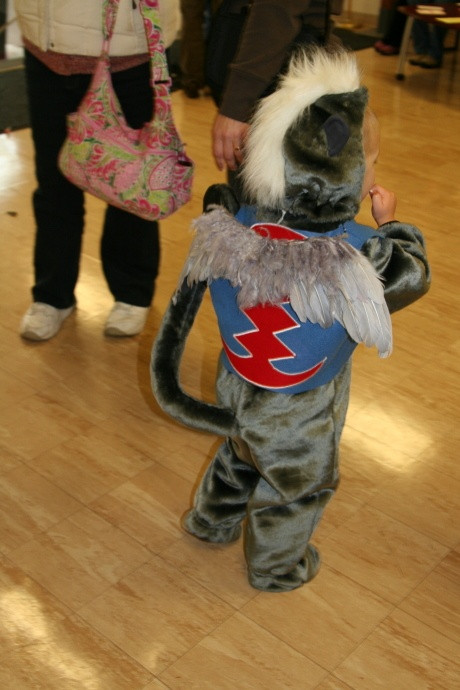 Best ideas about DIY Flying Monkey Costume
. Save or Pin 1000 ideas about Flying Monkey Costume on Pinterest Now.