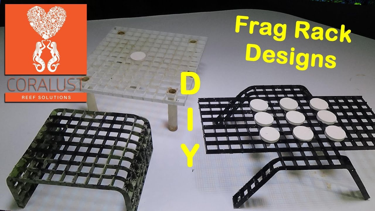 Best ideas about DIY Frag Rack
. Save or Pin DIY Frag Rack Designs Now.