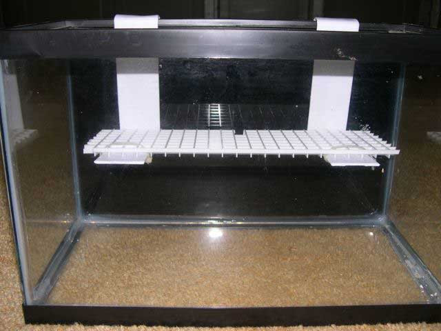 Best ideas about DIY Frag Rack
. Save or Pin DIY frag rack thought Reef Central line munity Now.