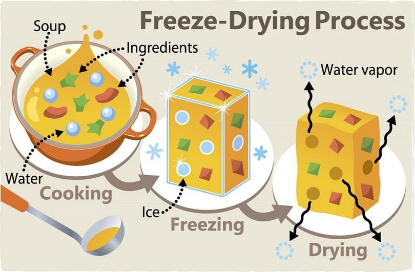 Best ideas about DIY Freeze Dried Food
. Save or Pin How to Freeze Dry Food Instructions And Best Methods Now.