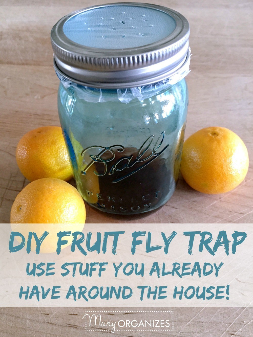 Best ideas about DIY Fruit Fly Trap
. Save or Pin Get Rid Fruit Flies For Good creatingmaryshome Now.