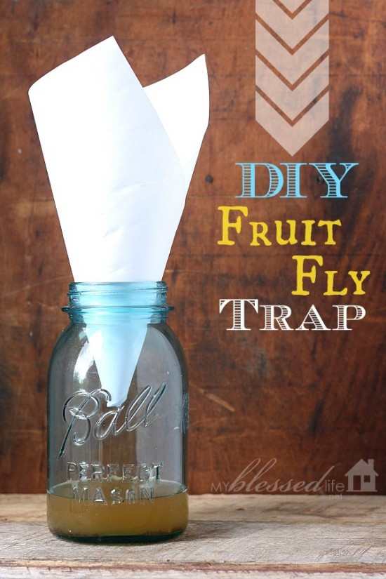 Best ideas about DIY Fruit Fly Trap
. Save or Pin Daily Frugal Tip DIY Fruit Fly Trap Couponing 101 Now.