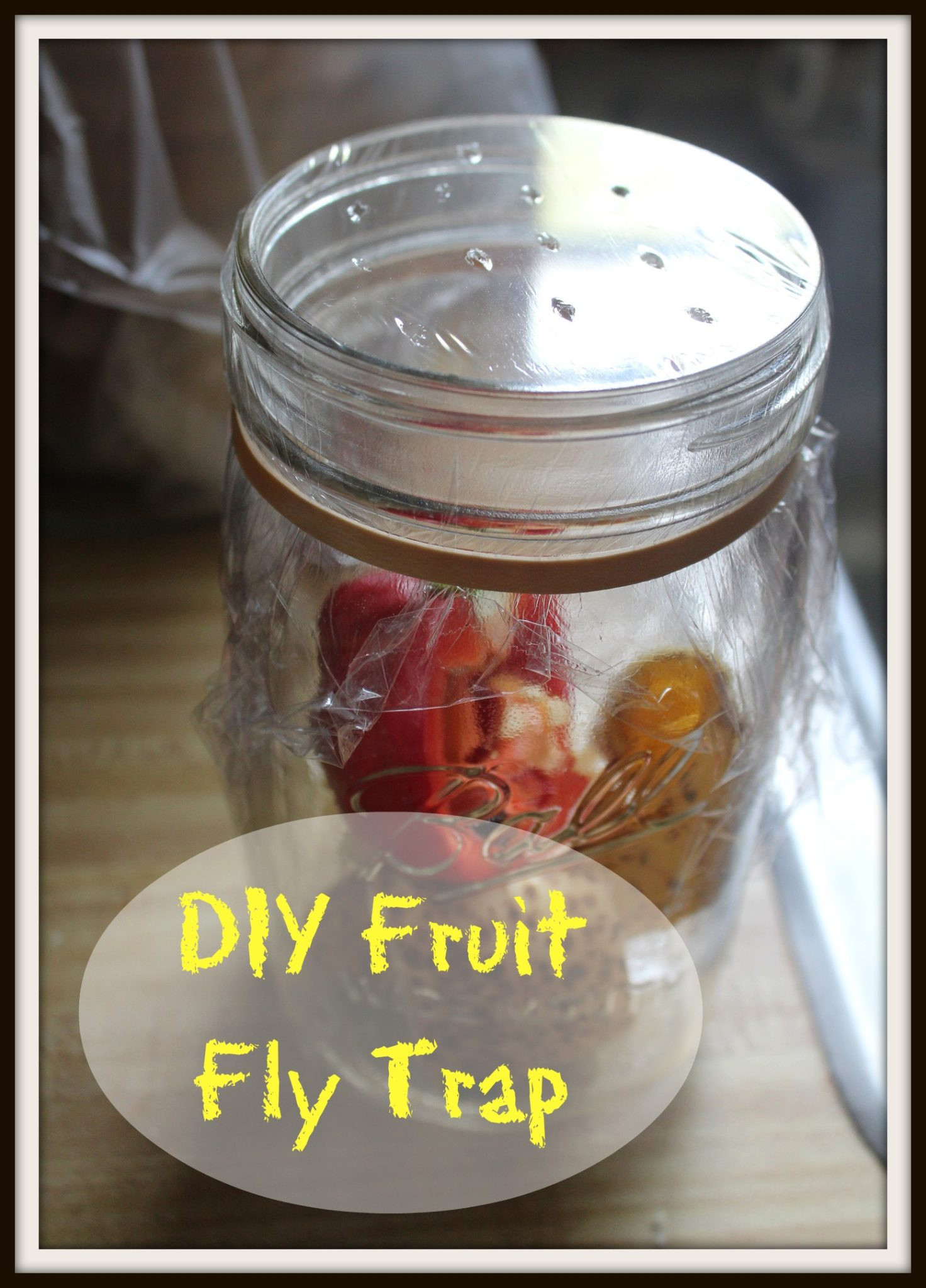 Best ideas about DIY Fruit Fly Trap
. Save or Pin DIY Fruit Fly Trap & Family Table Tuesday 11 Revived Now.