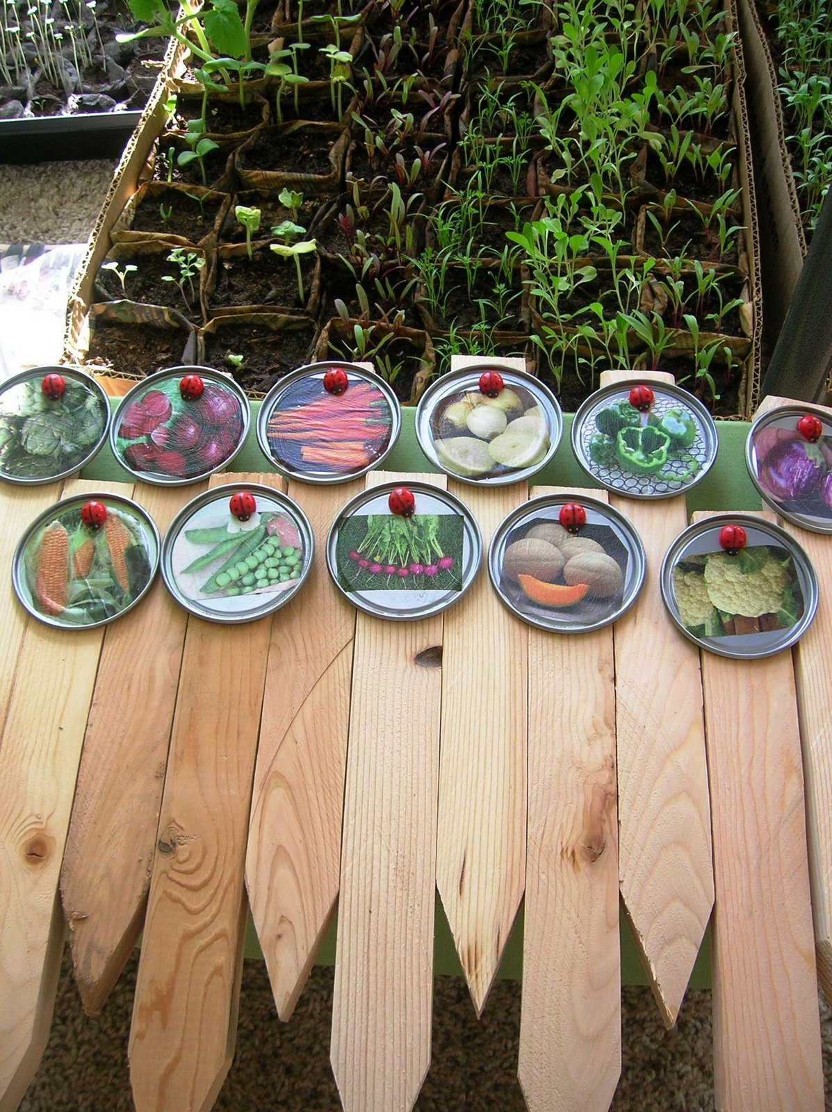 Best ideas about DIY Garden Stakes
. Save or Pin Homestead Revival Plant & Garden Markers Now.
