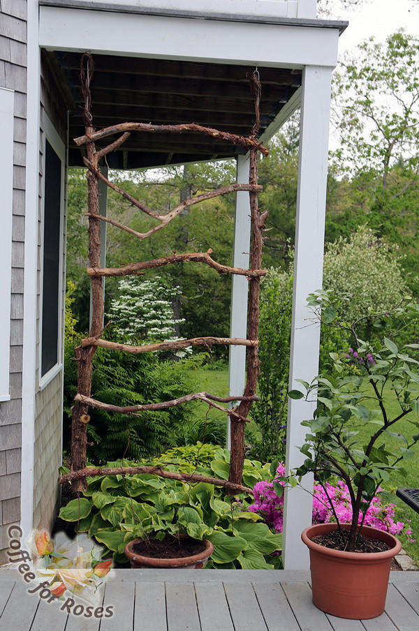 Best ideas about DIY Garden Trellis
. Save or Pin 20 Awesome DIY Garden Trellis Projects Hative Now.