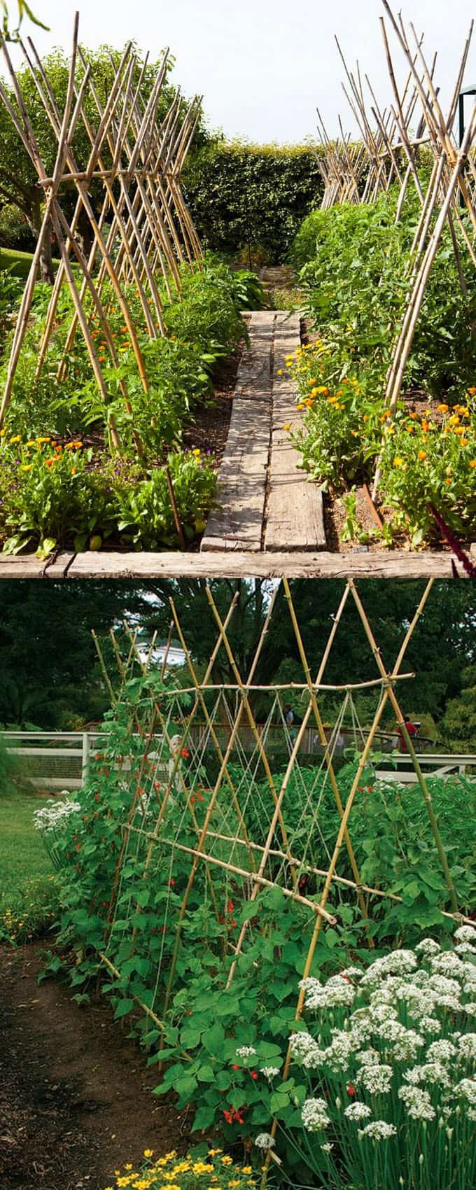 Best ideas about DIY Garden Trellis
. Save or Pin 21 Easy DIY Garden Trellis Ideas & Vertical Growing Now.