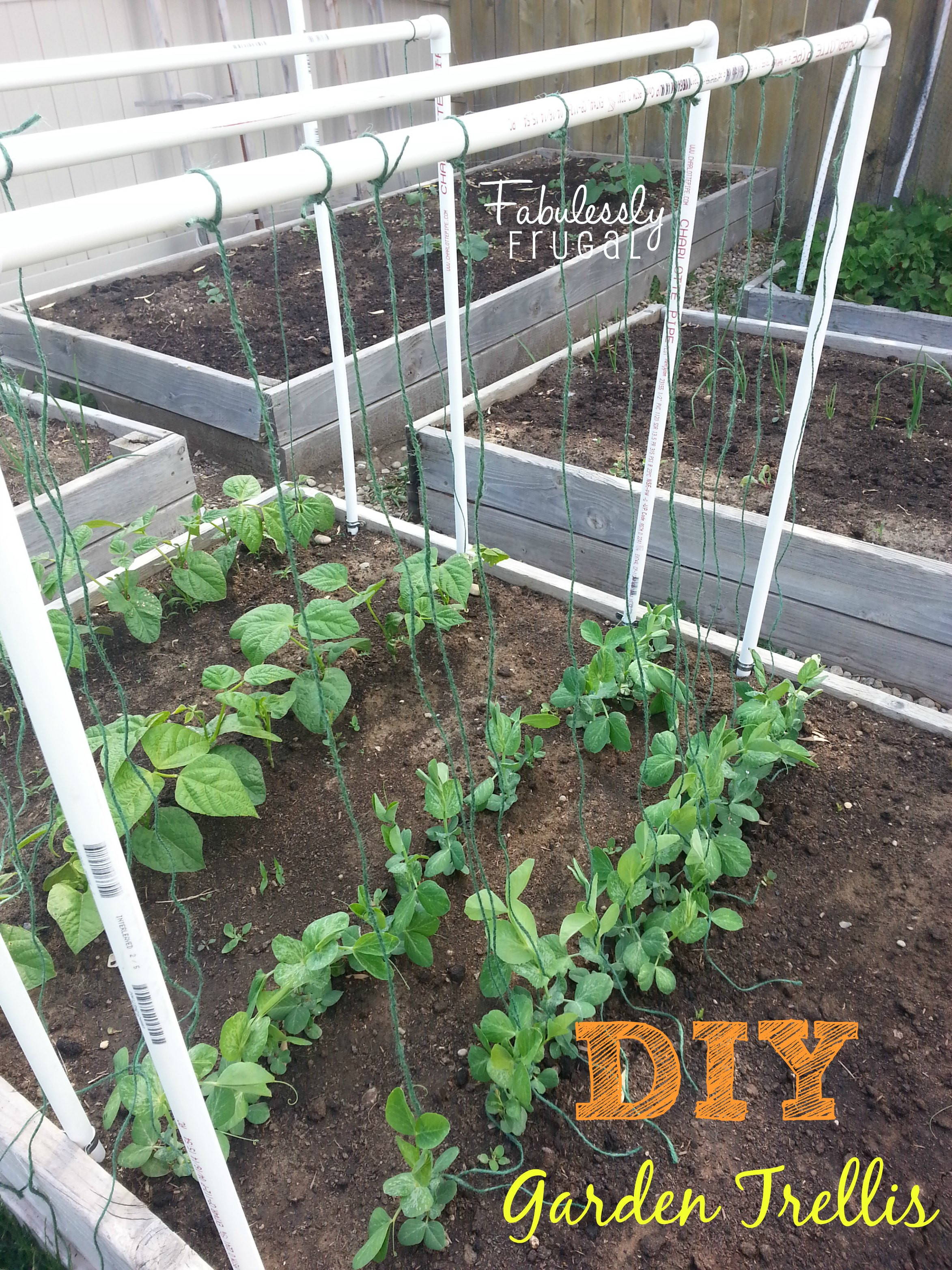 Best ideas about DIY Garden Trellis
. Save or Pin DIY Garden Trellis Now.