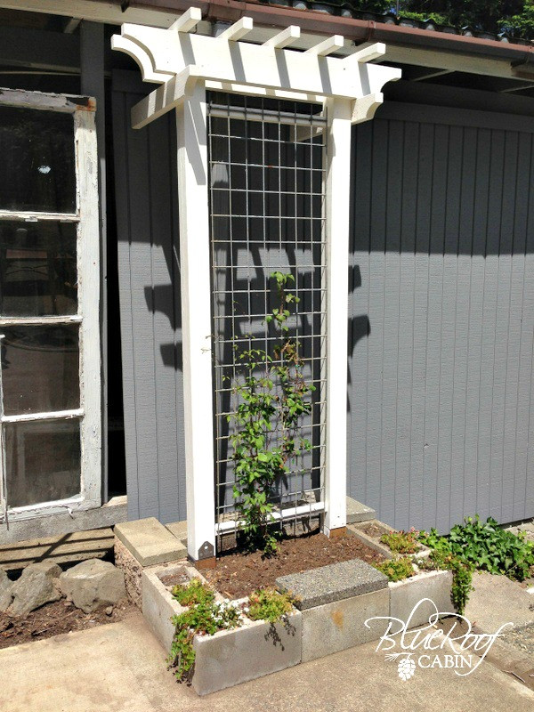 Best ideas about DIY Garden Trellis
. Save or Pin blue roof cabin DIY Garden Trellis Now.