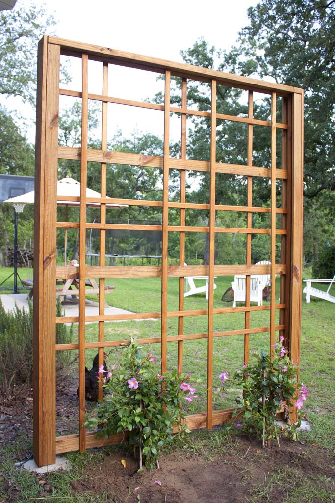 Best ideas about DIY Garden Trellis
. Save or Pin How to Build a Modern DIY Garden Trellis Now.