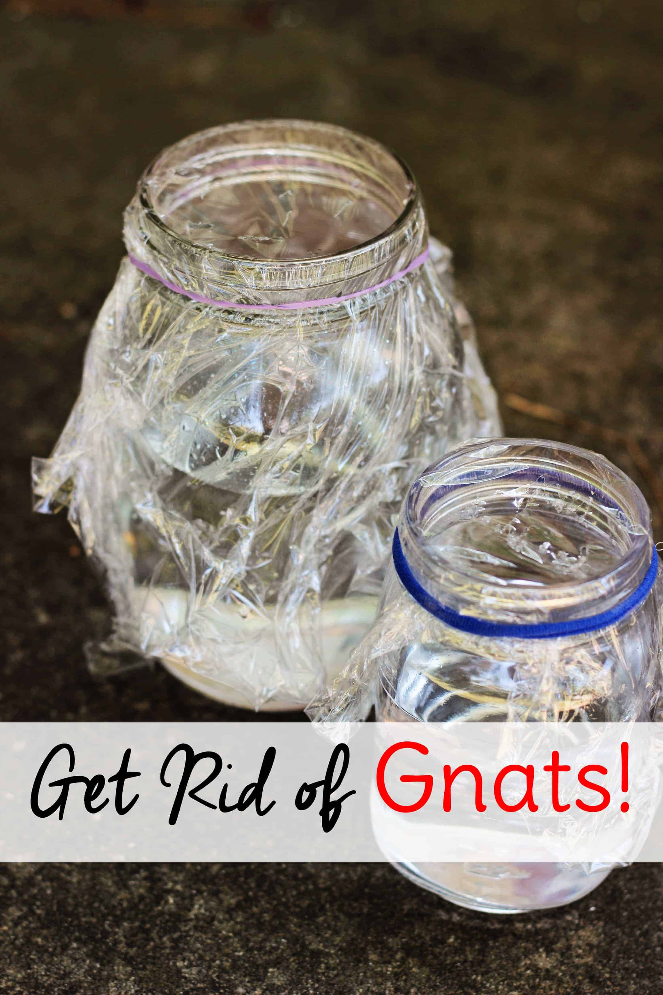 Best ideas about DIY Gnat Trap
. Save or Pin How to Get Rid of Gnats in the House with a Homemade Gnat Trap Now.
