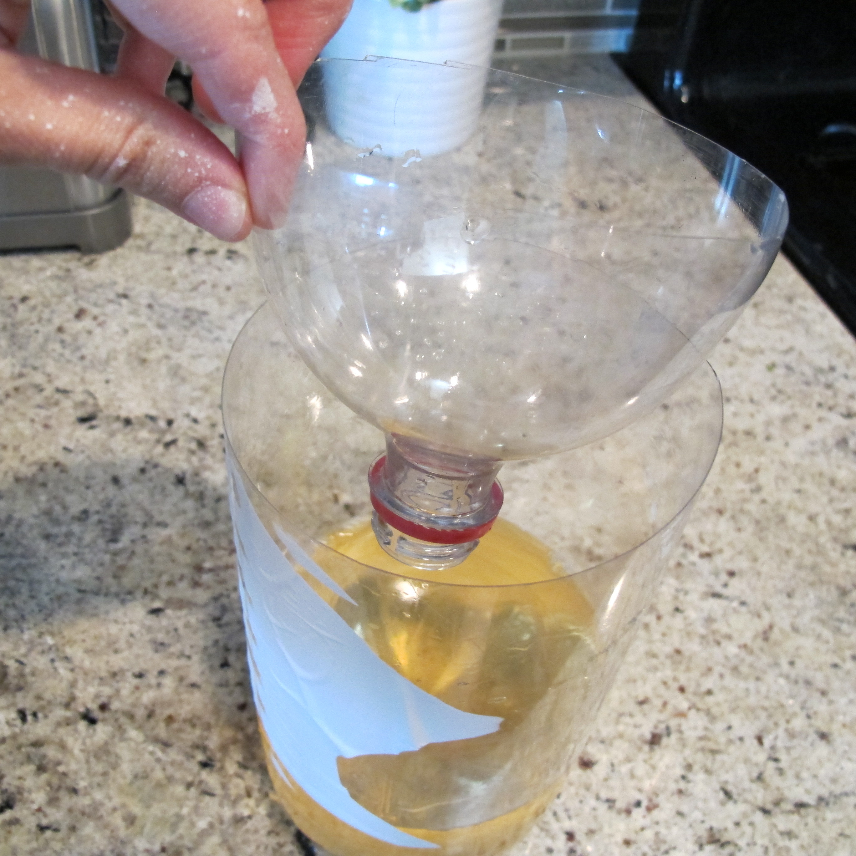 Best ideas about DIY Gnat Trap
. Save or Pin All natural DIY gnat trap Now.