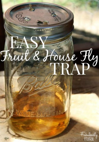 Best ideas about DIY Gnat Trap
. Save or Pin DIY Fly Trap Now.