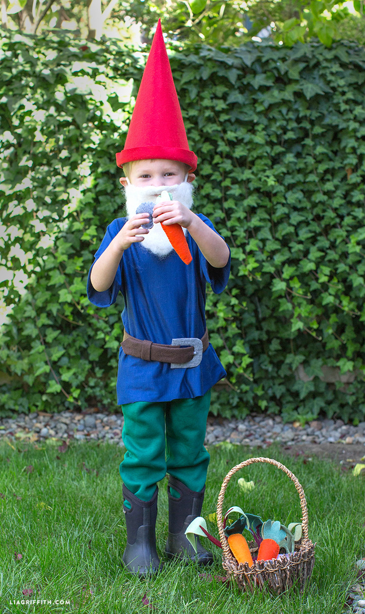 Best ideas about DIY Gnome Costumes
. Save or Pin DIY Gnome Costume Lia Griffith Now.