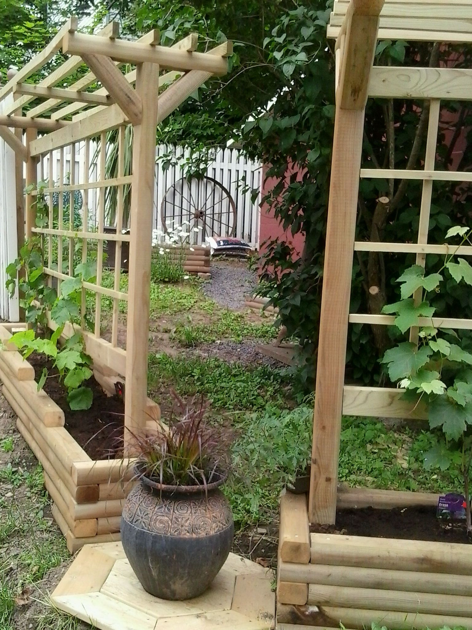 Best ideas about DIY Grape Trellis
. Save or Pin grape trellis DIY Gardening Now.