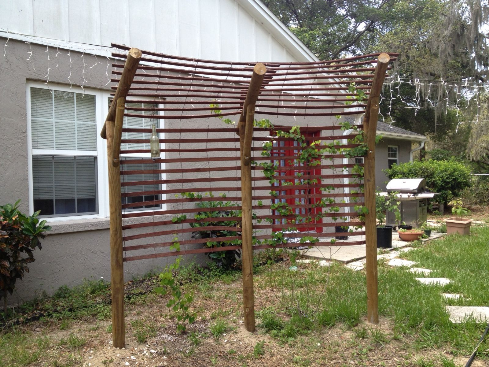 Best ideas about DIY Grape Trellis
. Save or Pin simple and modest re DIY grape arbor Home Now.