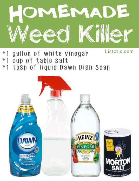 Best ideas about DIY Grass Killer
. Save or Pin 21 Truly Genius Gardening Tips and Ideas Spaceships and Now.
