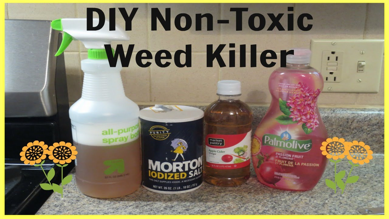 Best ideas about DIY Grass Killer
. Save or Pin DIY Non Toxic Weed Killer Quick & Super Easy Now.