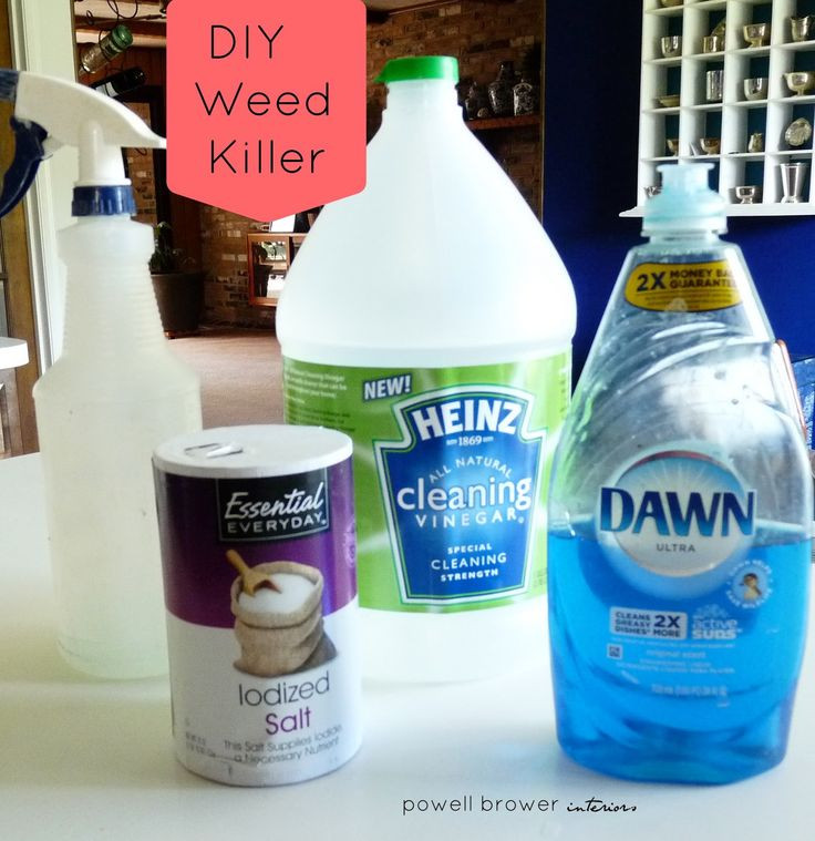 Best ideas about DIY Grass Killer
. Save or Pin 1000 images about Garden Ideas on Pinterest Now.