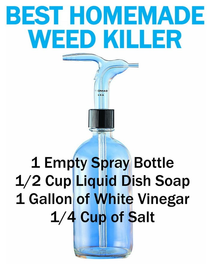 Best ideas about DIY Grass Killer
. Save or Pin Best Homemade Weed Killer And Other Ways To Kill Weeds Now.